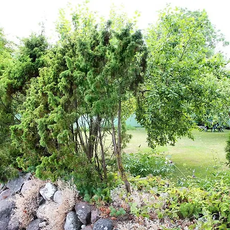 Kraavi Guest קורסארה